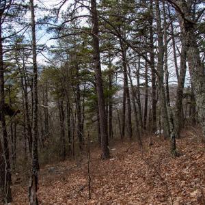 Photo #17 of Off Round Mountain Rd , Stuart, VA 5.7 acres