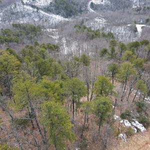 Photo #20 of Off Round Mountain Rd , Stuart, VA 5.7 acres