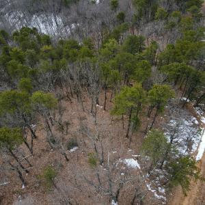Photo #7 of Off Round Mountain Rd , Stuart, VA 5.7 acres
