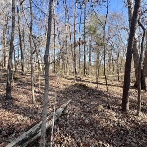 Photo #10 of Off Knollwood Dr, Burlington, NC 1.2 acres