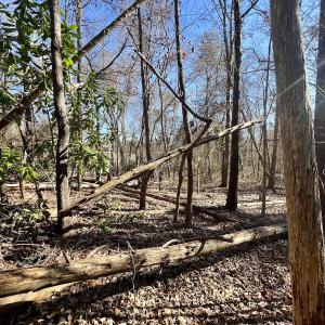 Photo #14 of Off Knollwood Dr, Burlington, NC 1.2 acres