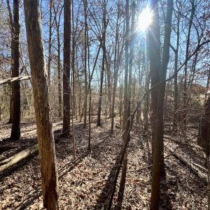 Photo #15 of Off Knollwood Dr, Burlington, NC 1.2 acres