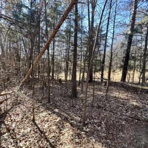 Photo #2 of Off Knollwood Dr, Burlington, NC 1.2 acres