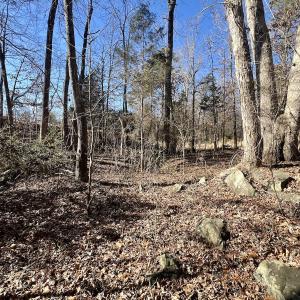 Photo #18 of Off Knollwood Dr, Burlington, NC 1.2 acres