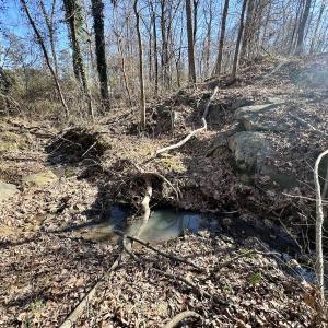 Photo #19 of Off Knollwood Dr, Burlington, NC 1.2 acres