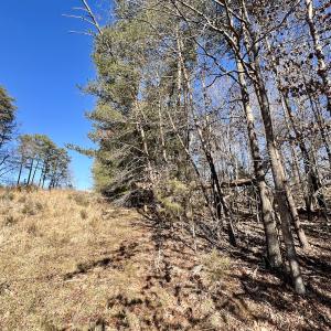 Photo #5 of Off Knollwood Dr, Burlington, NC 1.2 acres