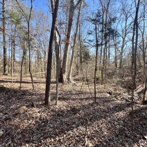 Photo #6 of Off Knollwood Dr, Burlington, NC 1.2 acres