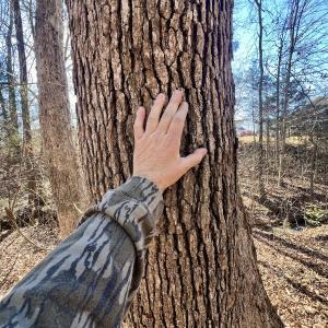 Photo #8 of Off Knollwood Dr, Burlington, NC 1.2 acres