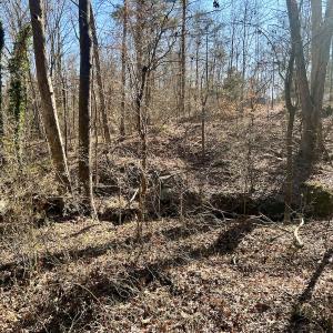 Photo #21 of Off Knollwood Dr, Burlington, NC 1.2 acres