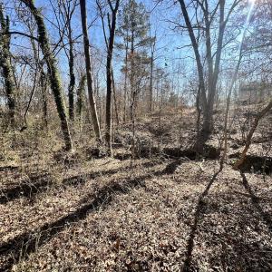 Photo #23 of Off Knollwood Dr, Burlington, NC 1.2 acres