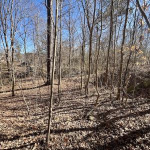 Photo #24 of Off Knollwood Dr, Burlington, NC 1.2 acres