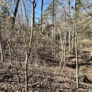 Photo #25 of Off Knollwood Dr, Burlington, NC 1.2 acres