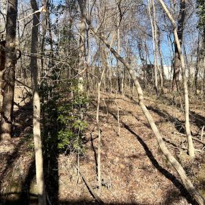 Photo #26 of Off Knollwood Dr, Burlington, NC 1.2 acres