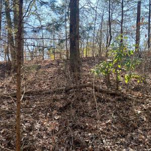 Photo #27 of Off Knollwood Dr, Burlington, NC 1.2 acres