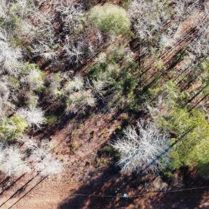 Photo #10 of SOLD property in 21521 Gilchrist St, Wagram, NC 0.5 acres