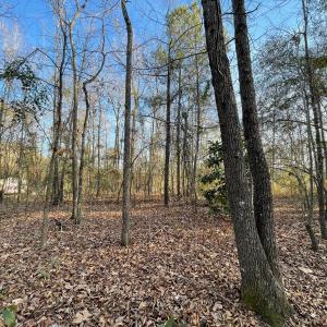 Photo #11 of SOLD property in 21521 Gilchrist St, Wagram, NC 0.5 acres