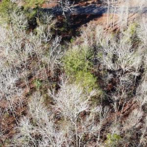 Photo #12 of SOLD property in 21521 Gilchrist St, Wagram, NC 0.5 acres