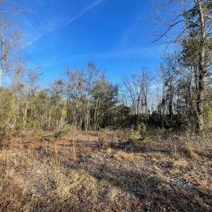 Photo #13 of SOLD property in 21521 Gilchrist St, Wagram, NC 0.5 acres
