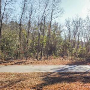 Photo #4 of SOLD property in 21521 Gilchrist St, Wagram, NC 0.5 acres