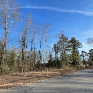 Photo #7 of SOLD property in 21521 Gilchrist St, Wagram, NC 0.5 acres