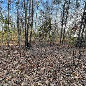 Photo #8 of SOLD property in 21521 Gilchrist St, Wagram, NC 0.5 acres