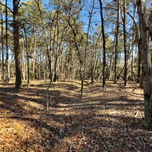 Photo #13 of SOLD property in 224 Badin View Dr, New London, NC 1.0 acres