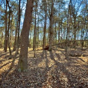 Photo #14 of SOLD property in 224 Badin View Dr, New London, NC 1.0 acres