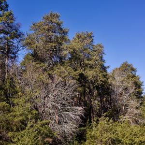 Photo #18 of SOLD property in 224 Badin View Dr, New London, NC 1.0 acres