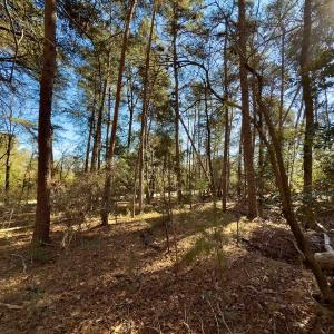 Photo #4 of SOLD property in 224 Badin View Dr, New London, NC 1.0 acres