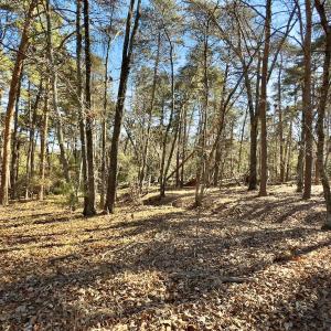 Photo #5 of SOLD property in 224 Badin View Dr, New London, NC 1.0 acres