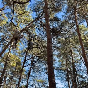 Photo #7 of SOLD property in 224 Badin View Dr, New London, NC 1.0 acres