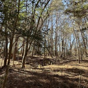 Photo #10 of SOLD property in 224 Badin View Dr, New London, NC 1.0 acres