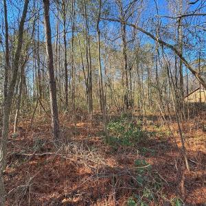 Photo #10 of 213 Saddlewood Dr, Goldsboro, NC 0.5 acres