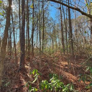 Photo #11 of 213 Saddlewood Dr, Goldsboro, NC 0.5 acres