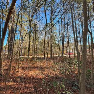 Photo #12 of 213 Saddlewood Dr, Goldsboro, NC 0.5 acres