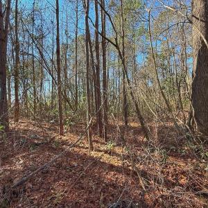Photo #13 of 213 Saddlewood Dr, Goldsboro, NC 0.5 acres