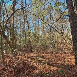 Photo #15 of 213 Saddlewood Dr, Goldsboro, NC 0.5 acres