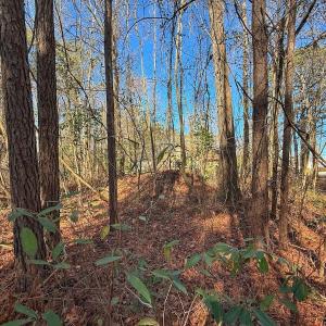 Photo #16 of 213 Saddlewood Dr, Goldsboro, NC 0.5 acres