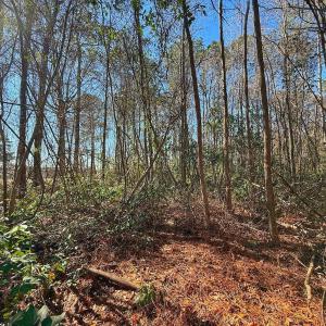 Photo #17 of 213 Saddlewood Dr, Goldsboro, NC 0.5 acres