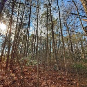 Photo #2 of 213 Saddlewood Dr, Goldsboro, NC 0.5 acres