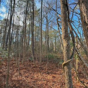 Photo #3 of 213 Saddlewood Dr, Goldsboro, NC 0.5 acres