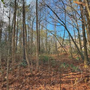 Photo #4 of 213 Saddlewood Dr, Goldsboro, NC 0.5 acres