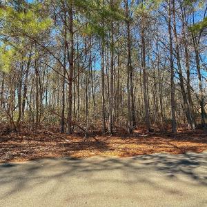 Photo #6 of 213 Saddlewood Dr, Goldsboro, NC 0.5 acres
