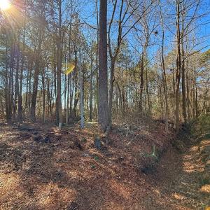 Photo #8 of 213 Saddlewood Dr, Goldsboro, NC 0.5 acres