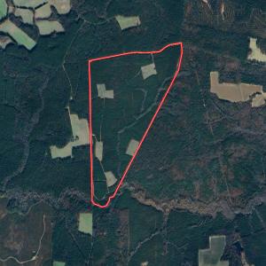 Photo #1 of Off Optimist Rd., Sussex, VA 244.4 acres