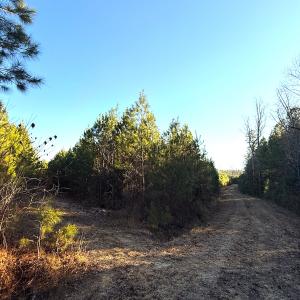 Photo #13 of Off Optimist Rd., Sussex, VA 244.4 acres