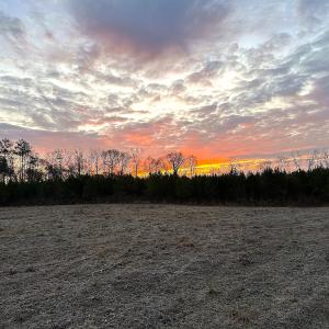 Photo #17 of Off Optimist Rd., Sussex, VA 244.4 acres