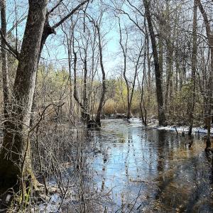 Photo #20 of Off Optimist Rd., Sussex, VA 244.4 acres