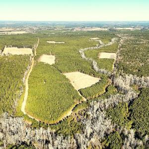 Photo #2 of Off Optimist Rd., Sussex, VA 244.4 acres