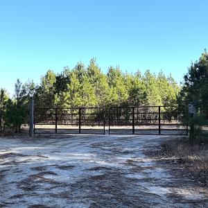 Photo #3 of Off Optimist Rd., Sussex, VA 244.4 acres